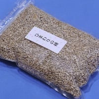 食用ひまわりの種 (１ｋｇ) 可食部１００％！おやつにひまわりシード♪