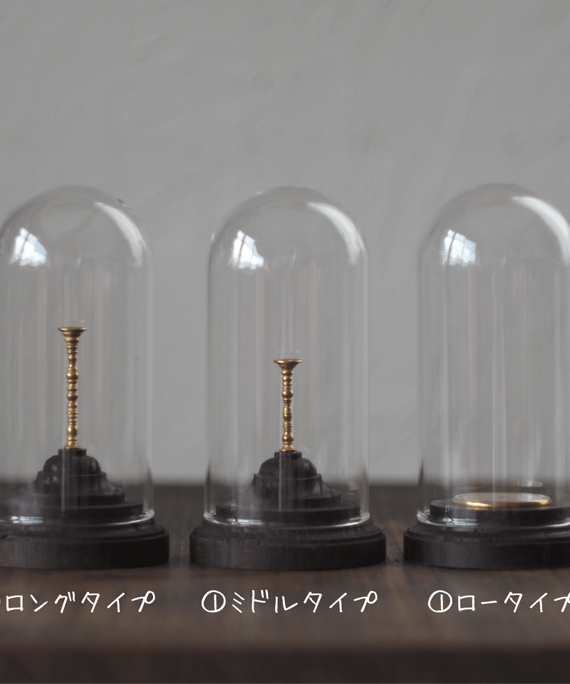 Mineral Holder（ミネラルホルダー）鉱物コレクションガラスドーム