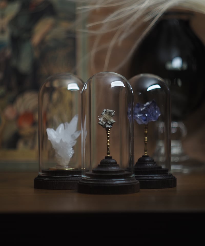 Mineral Holder（ミネラルホルダー）鉱物コレクションガラスドーム