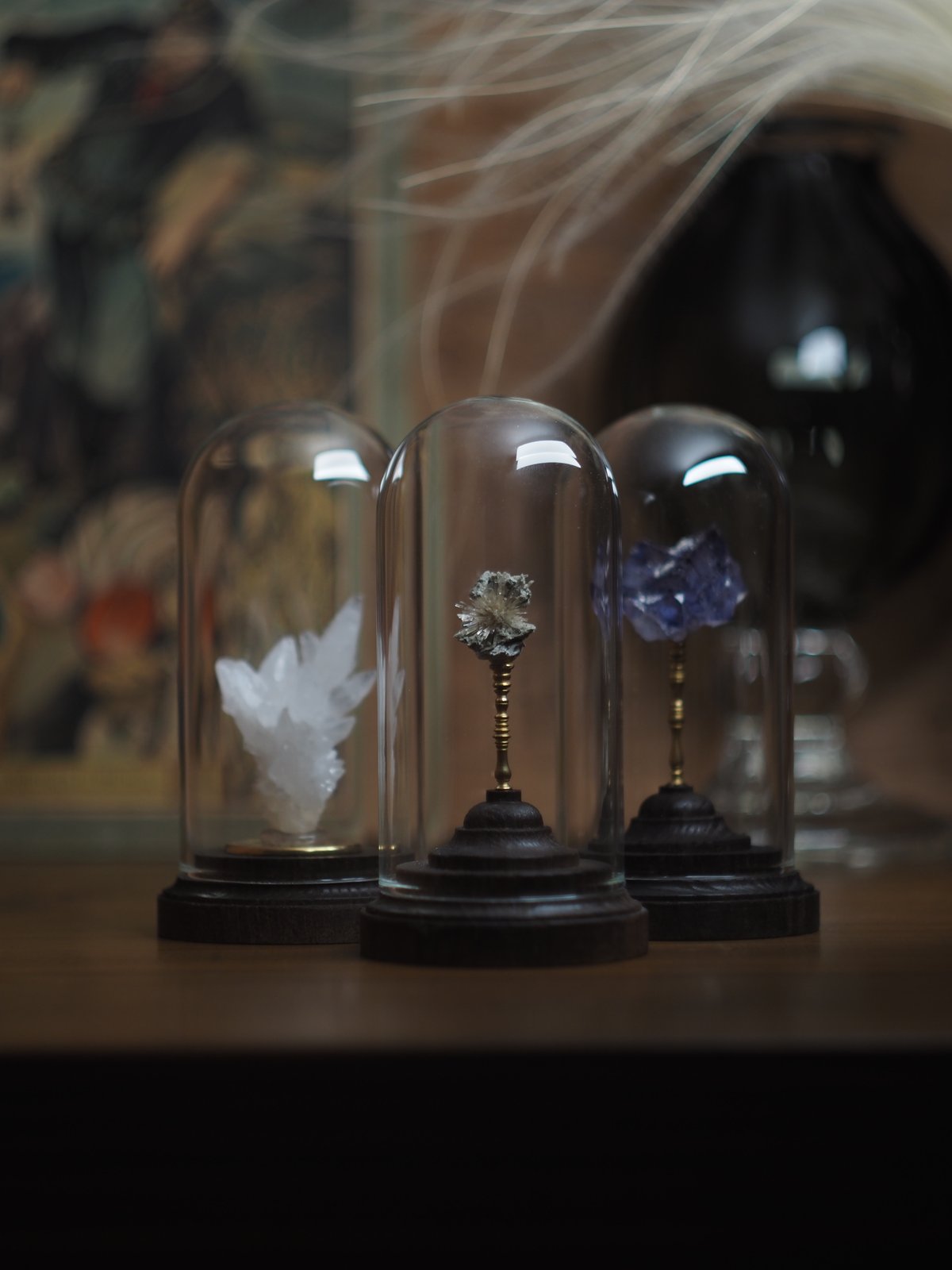 Mineral Holder（ミネラルホルダー）鉱物コレクションガラス
