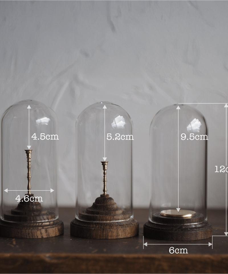 Mineral Holder（ミネラルホルダー）鉱物コレクションガラスドーム