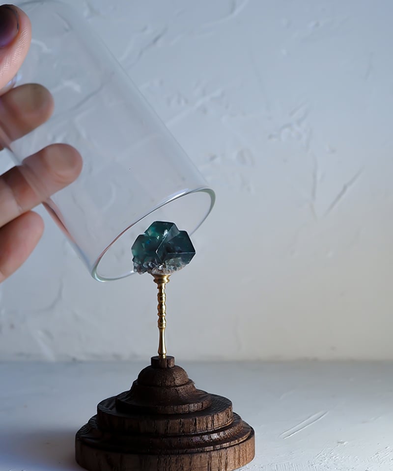Mineral Holder（ミネラルホルダー）鉱物コレクションガラス