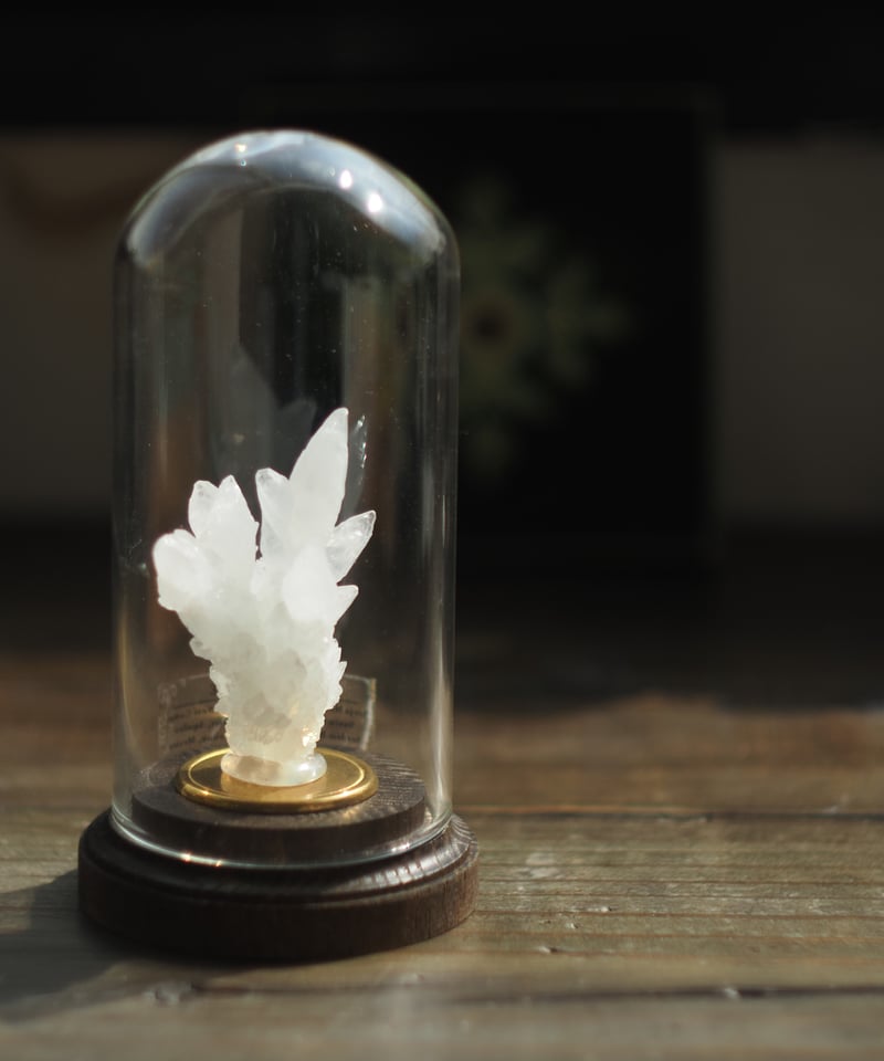 Mineral Holder（ミネラルホルダー）鉱物コレクションガラスドーム
