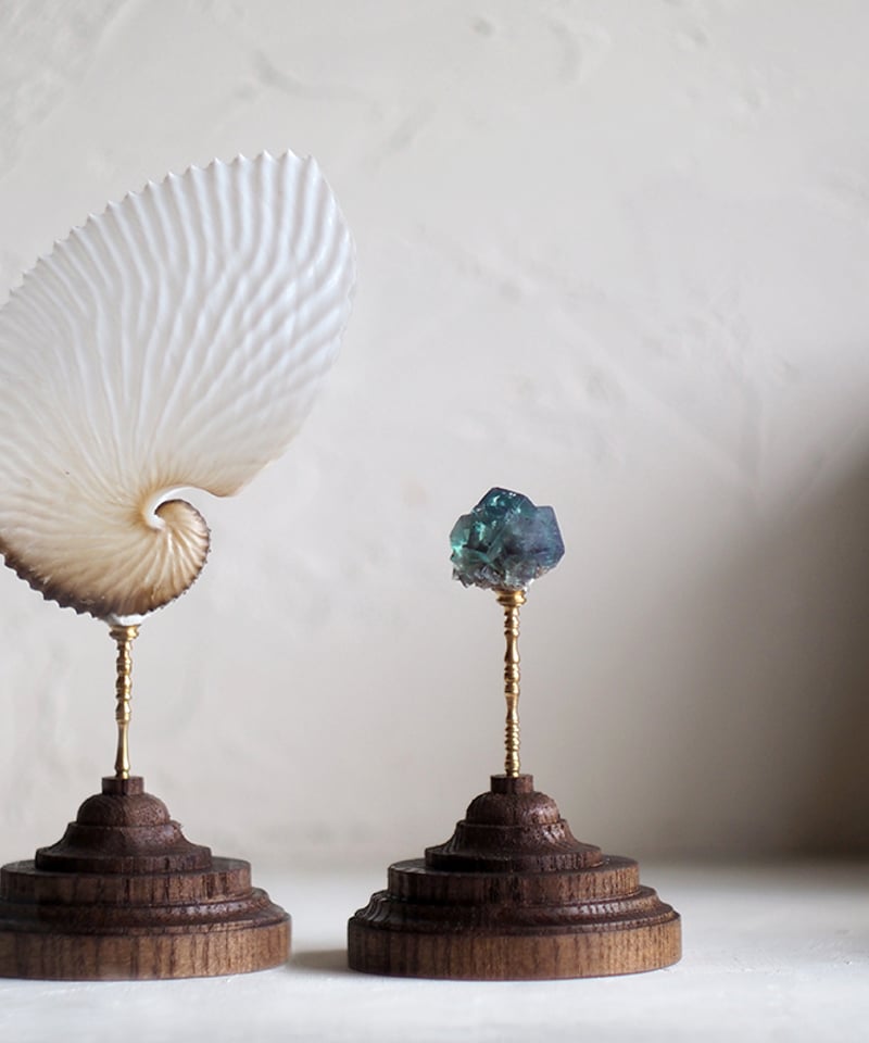 Mineral Holder（ミネラルホルダー）鉱物コレクションガラス