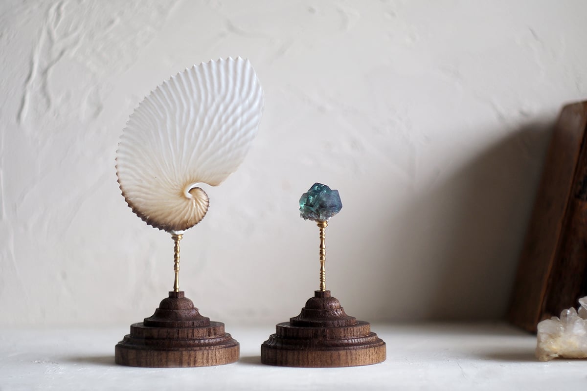 STRANGE WORKS ミネラルホルダー 木製ベース ガラスドーム　鉱物標本 STRANGE WORKS ミネラルホルダー 木製ベース ガラスドーム 鉱物標本