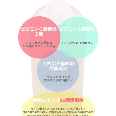 20%OFF※送料無料【定期】フラーレン エクストラ ローション