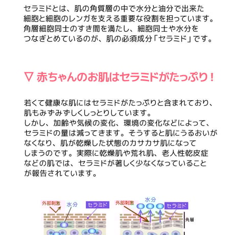 5%OFF※送料無料【スキンケア2点セット】ヒューマンセラミド ハンドトリートメント×2個セット