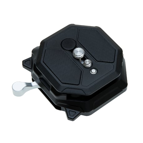 CATEGORY Falcam | ImageVISION