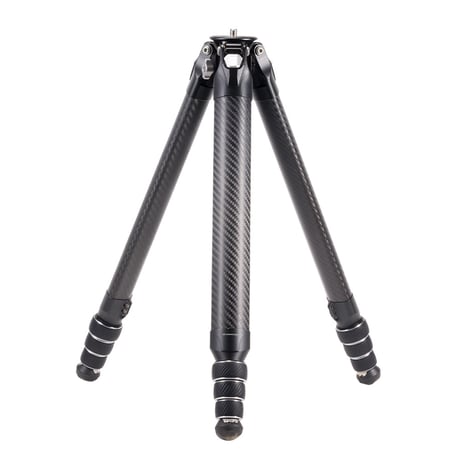 CATEGORY TreeRoot | ImageVISION