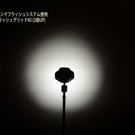ROGUE ラウンドフラッシュグリッド45