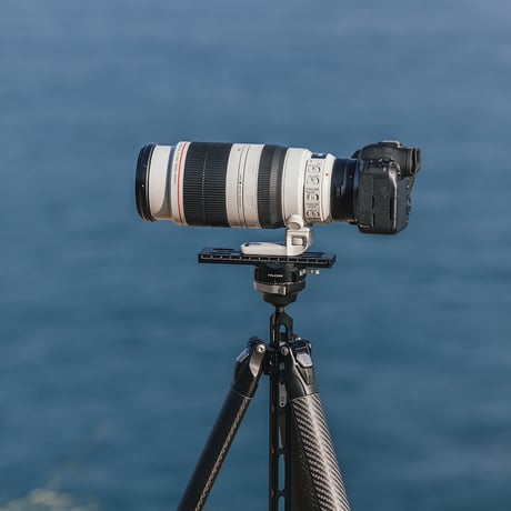 FC4301 TreeRoot クイックロックトラベル三脚F38Pro 自由雲台キット(R141K-320P)