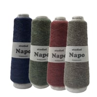 NAPO（ナポ） 100g