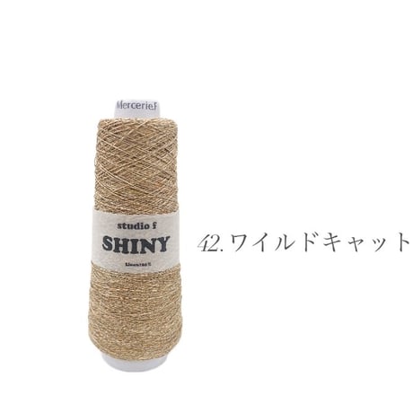 Shiny【シャイニー】