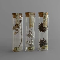 NA645　植物標本管 ３本セット-A