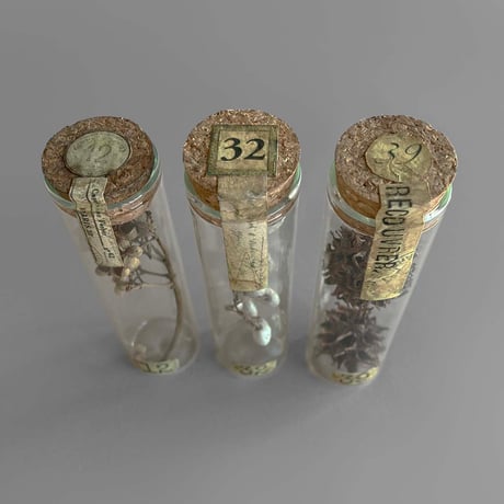 NA645　植物標本管 ３本セット-A