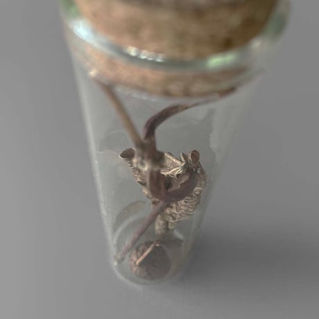 NA645　地球の欠片 (植物標本管) No.79