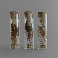 NA645　植物標本管 ３本セット-C