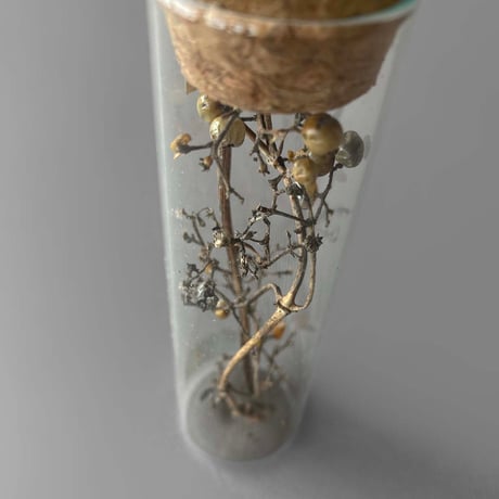 NA645　地球の欠片 (植物標本管) No.2