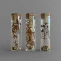 NA645　植物標本管 ３本セット-B