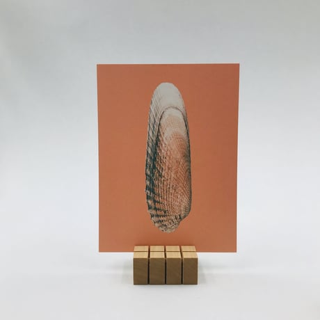 sava-s (card satnd)