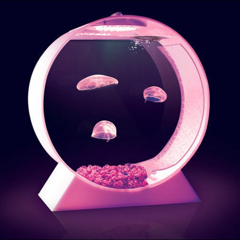 クラゲのLED水槽「Jellyfish Tanks」 | STELLAR LIGHT