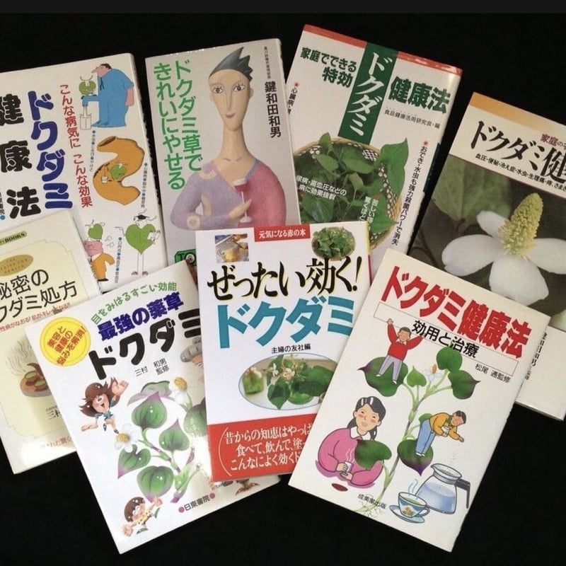 720-04◇どくだみの雫720ml／4本 | 公式＊どくだみ専科＊Online-Shop