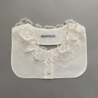 Special collar