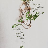 オリーブオブジェひとえだ　238