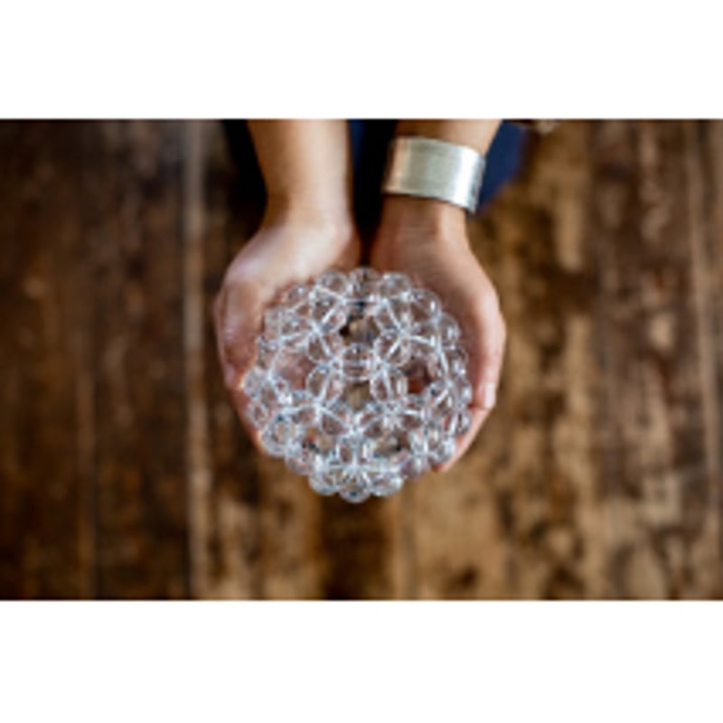 2025年12月、2026年1月 フラーレンプロテクションプロ伝授講習 (神奈川