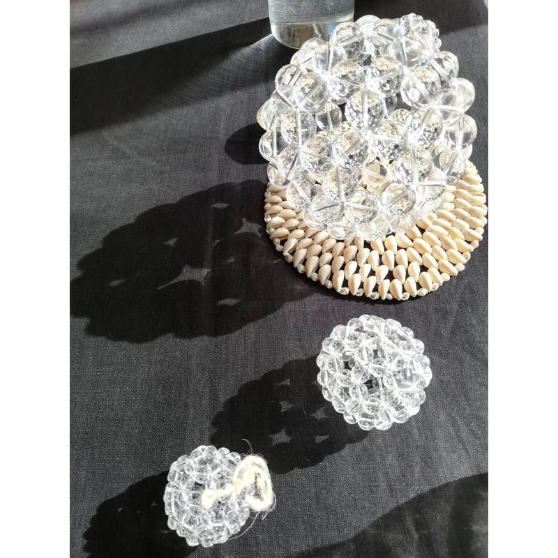 2025年12月、2026年1月 フラーレンプロテクションプロ伝授講習 (神奈川