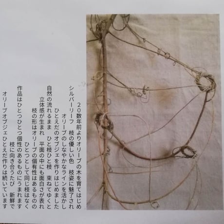 オリーブオブジェひとえだ　264