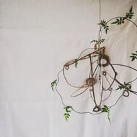 オリーブオブジェひとえだ　244