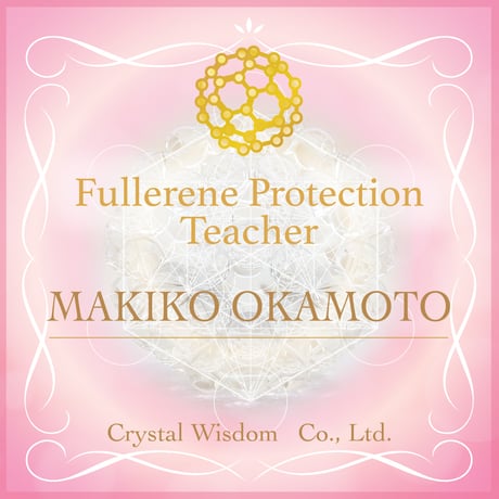 fullerene フラーレン水晶2mmイヤーカフsv925(marsa*original fullerene book付)