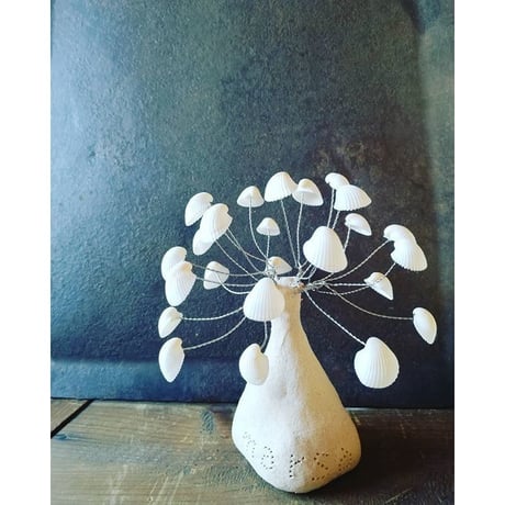 シェルツリー | STORES