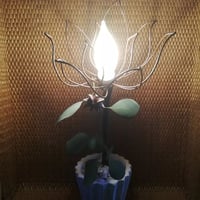 ロータスランプ