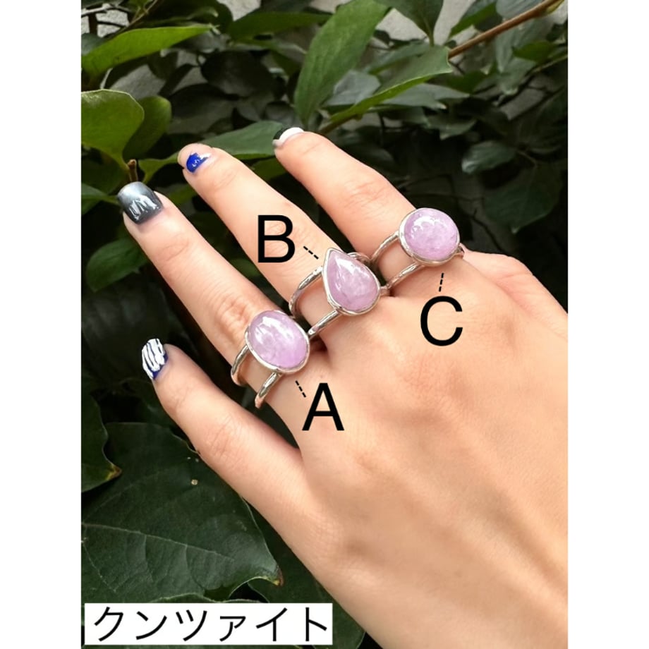 66d9707ac1e66b05b1d4842d
