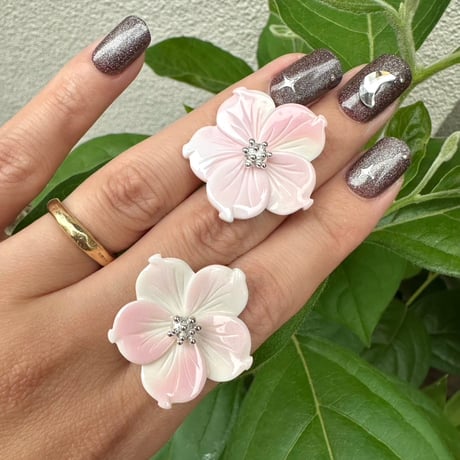 Shell blossom pierce (Set)