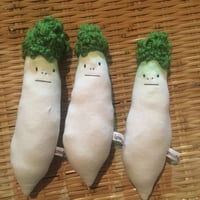 三浦大根ちゃん