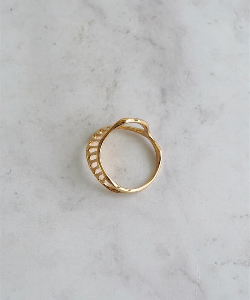 ⭐︎リアル　シダなど Amazon.co.jp: BubbleBlooms シダバラエティ詰め合わせ 6種類のシダ 2