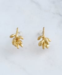 【耳飾り展 期間限定商品】satela セダムのピアス ゴールド mks-26-31