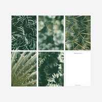 BIENVENUE STUDIOS〈SMALL PRINT COLLECTION_N° 6 QUIET WATER〉（5PCS）