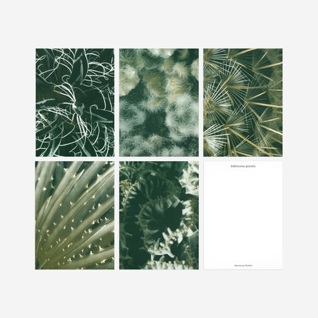 BIENVENUE STUDIOS〈SMALL PRINT COLLECTION_N° 6 QUIET WATER〉（5PCS）
