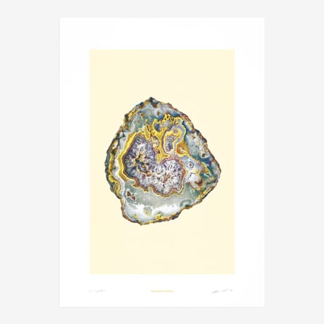 BIENVENUE STUDIOS〈LIMITED PRINTS_MOUNTAIN TREASURES〉（5TYPES）