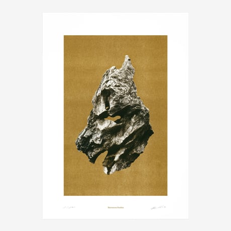 BIENVENUE STUDIOS〈LIMITED PRINTS_VIEWING STONE〉（5TYPES）