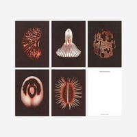FAYE TOOGOOD〈ASSEMBLAGE 6: UNLEARNING〉 | PAPIER