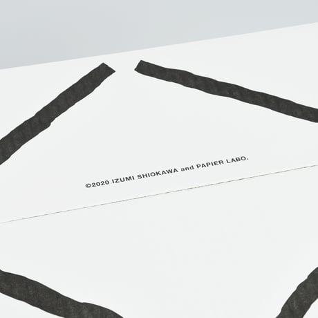 IZUMI SHIOKAWA & PAPIER LABO.〈CORRUGATED CARTON〉（3PCS）