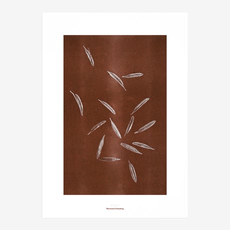 BIENVENUE STUDIOS〈LIMITED PRINTS_ORIGINS〉（5TYPES）