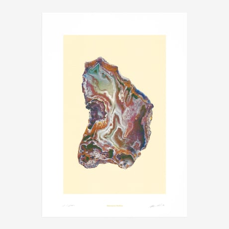 BIENVENUE STUDIOS〈LIMITED PRINTS_MOUNTAIN TREASURES〉（5TYPES）