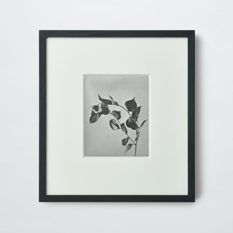 PAPIER LABO.〈COLLOTYPE PHOTOGRAPH CARD_志賀理江子〉 |