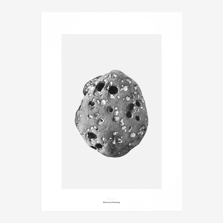 BIENVENUE STUDIOS〈LIMITED PRINTS_PACIFIC MARKS〉（5TYPES）